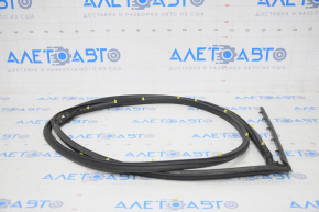 Rear left door seal Honda Insight 19-22
