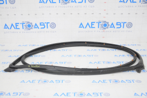 Front left door seal Honda Insight 19-22
