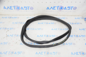Door seal rear left Honda Insight 19-22