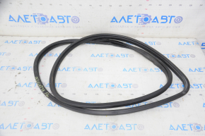 Door seal front left Honda Insight 19-22