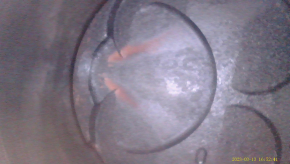 Lexus LS460 Engine 07-12 1UR-FSE 156k Compression 14-14-14-14-14-14-14-14