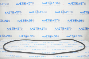 Front right door seal Audi A4 B9 17-25