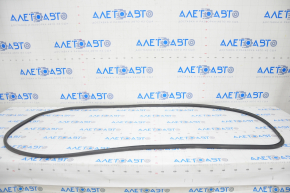 Front right door seal Audi A4 B9 17-25