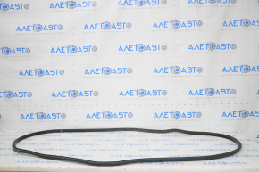 Front left door seal for Ford Fusion mk5 13-20