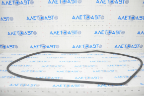 Door seal rear right Audi A4 B9 17-25