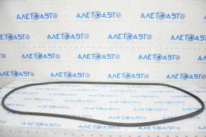 Front left door seal Audi A4 B9 17-25