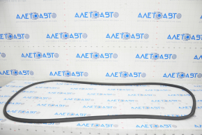 Front left door seal Audi A4 B9 17-25