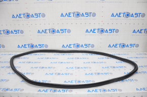 Door seal rear right Audi A4 B9 17-25