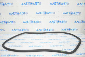 Door seal front right Audi A4 B9 17-25
