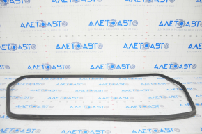 Audi A4 B9 17-25 Trunk Lid Seal
