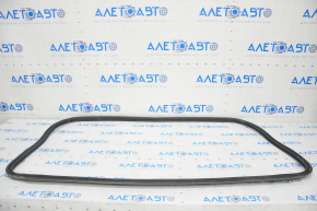 Audi A4 B9 17-25 Trunk Lid Seal