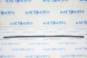 Rear hood seal Tesla Model S 16-20 rest