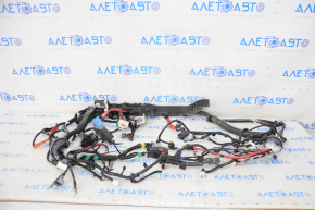 Tesla Model 3 21- RWD Engine Bay Wiring