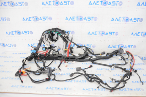 Tesla Model 3 21- RWD Engine Bay Wiring