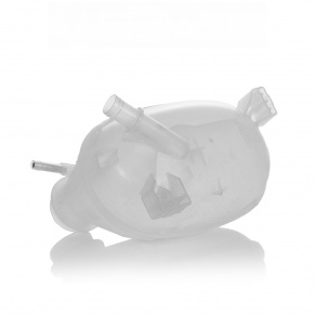 Expansion tank cooling Ford Escape MK3 17-19 rest 2.5, 2.0T, 1.5T