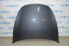 Tesla Model Y 20 Naked Hood - Graphite PMNG