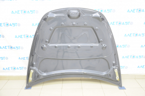 Tesla Model Y 20 Naked Hood - Graphite PMNG