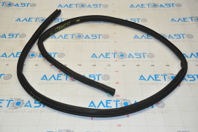 Front left door seal Ford Mustang mk6 15 - torn