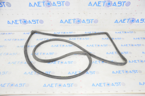 Subaru b9 Tribeca rear right door seal