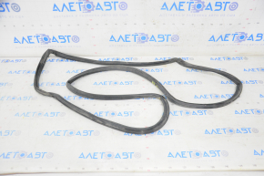 Subaru b9 Tribeca rear left door seal
