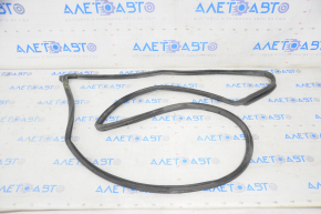Subaru b9 Tribeca front left door seal