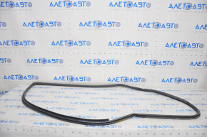Door seal front left Toyota Prius V 12-14 dark gray