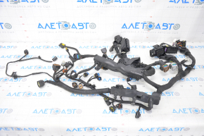 Wiring Kia Niro 17-19 HEV