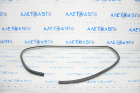 Front left door seal for Toyota Camry v40, gray