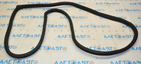 Door seal rear right Hyundai Sonata 15-19 torn