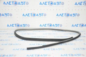Toyota Camry v40 rear right door seal, gray