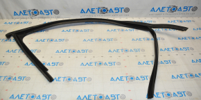 Upper door molding, front right, VW Passat b7 12-15 USA, matte finish, with glass seal