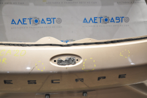 Boot Door Naked Ford Escape MK4 20-22 Gold G6 Pokes