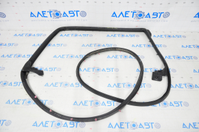 Rear left door seal Lexus NX200t NX300 NX300h 15-21