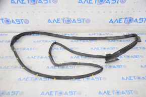 Lexus ES300 ES330 rear left door seal
