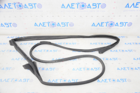 Lexus ES350 07-12 front left door seal