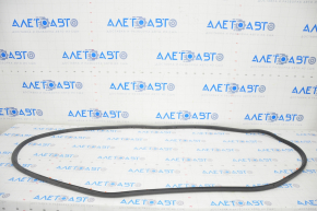 Ford Escape MK3 13-19 rear left door seal