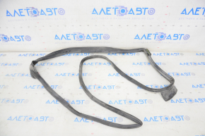 Rear right door seal for Lexus IS250 IS350 06-14
