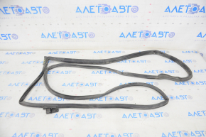 Front left door seal for Lexus GX470 03-09