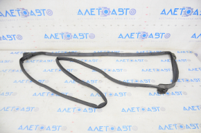 Lexus Hs250h 10-12 rear left door seal