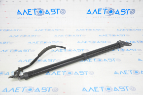 Shock absorber trunk door left Lexus NX200t NX300 NX300h 17-21 for electric drive