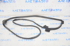 Lexus ES300h ES350 rear left door seal 13-18