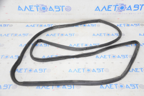 Lexus ES300 ES330 rear right door seal