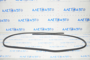 Door seal rear left BMW X3 G01 18-21