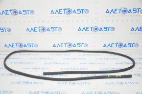 Door seal rear left BMW X3 G01 18-21