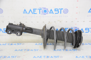 Shock absorber strut assembly front left Lexus NX300 18-21 without adjustable suspension
