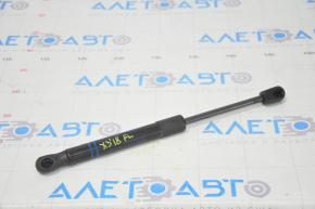 Hood shock absorber left BMW X3 G01 18-