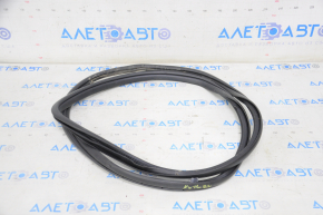Door seal rear left Lexus NX200t NX300 NX300h 15-21