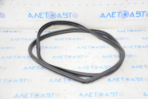 Door seal front left Lexus NX200t NX300 NX300h 15-21