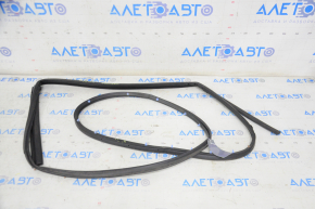 Door seal rear right Kia Niro 17-22 tear