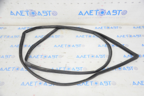 Front left door seal Hyundai Azera 12-17